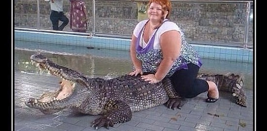 Крокодил зовёт на помощь.